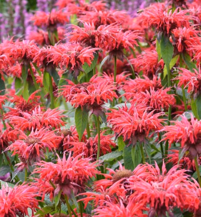 738f884445b88a98ff29fdce9cf19c55