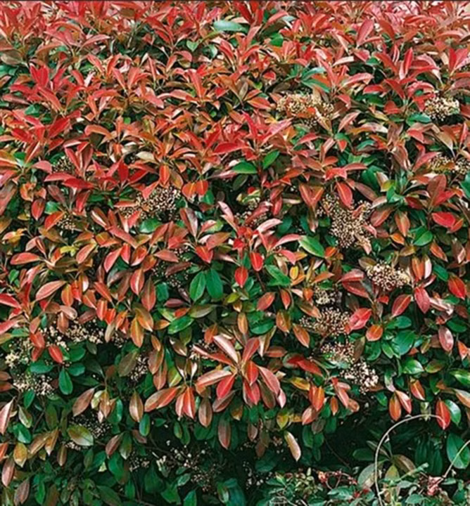 7397fad529c5547d33c8777f78147c51