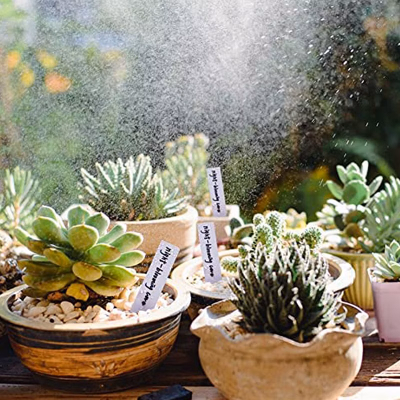 73b54201cba01b9ca70da3119f4a499a