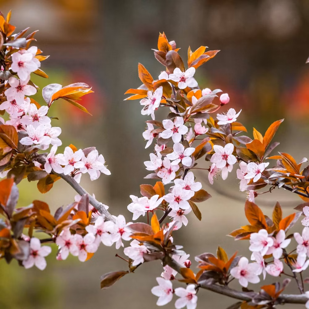 73dc358a92477346afaf69238ee63c8b