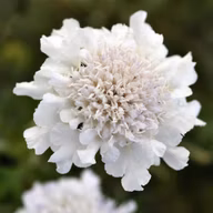 73ec68d09c4898d4a9d2605dcaaf2240