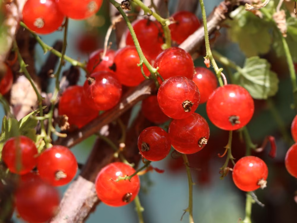 73f00dea7a22d2284d92a4c7b29368ea