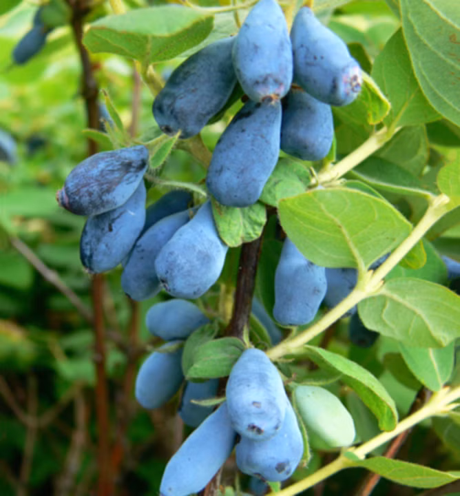 741bc5013f55986e0a987a623949ee9d