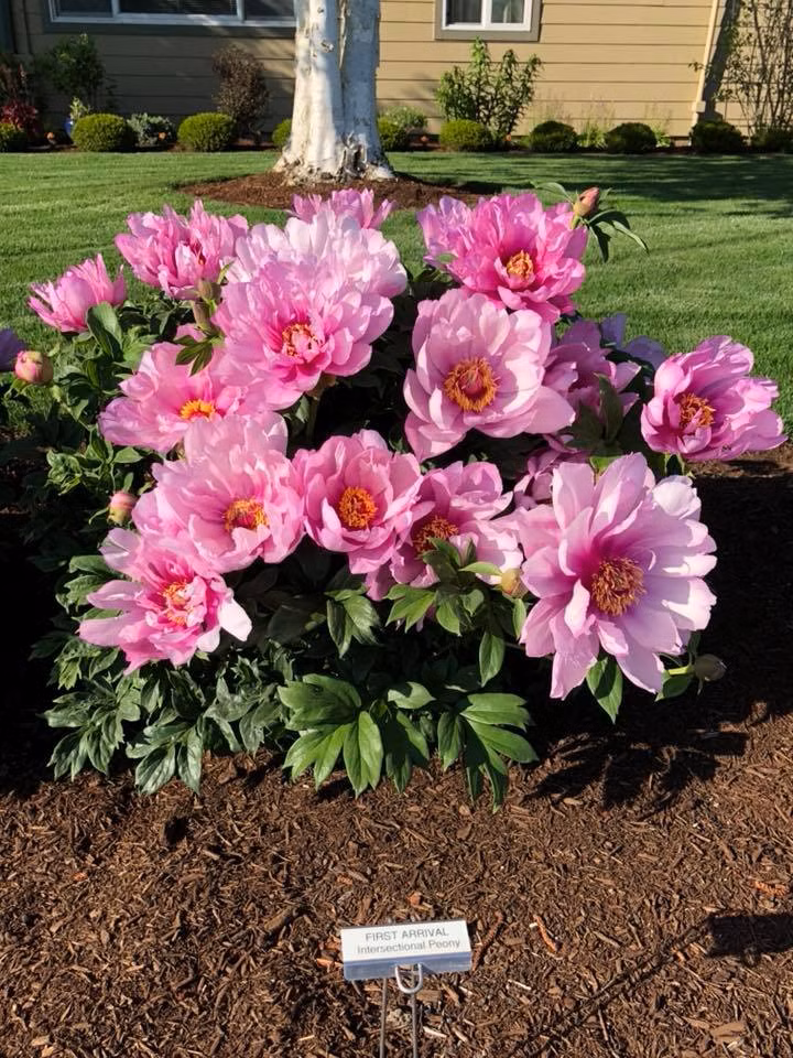 74497b2c803ae335c8321852ae9fec0d