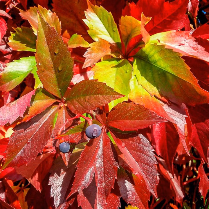 744fe1c8f908f99c467c548bb6a22aea