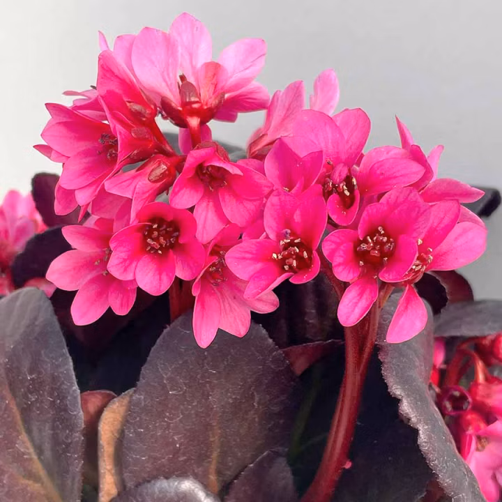 745dad9f3ddb03c3bac31c819ee67073