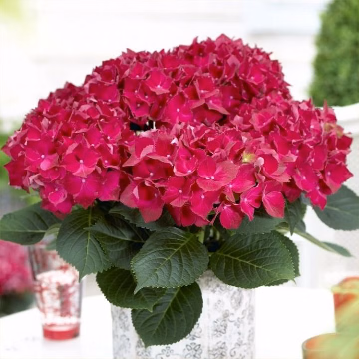 74bc370d2bb4e84c264f6080adc5672c