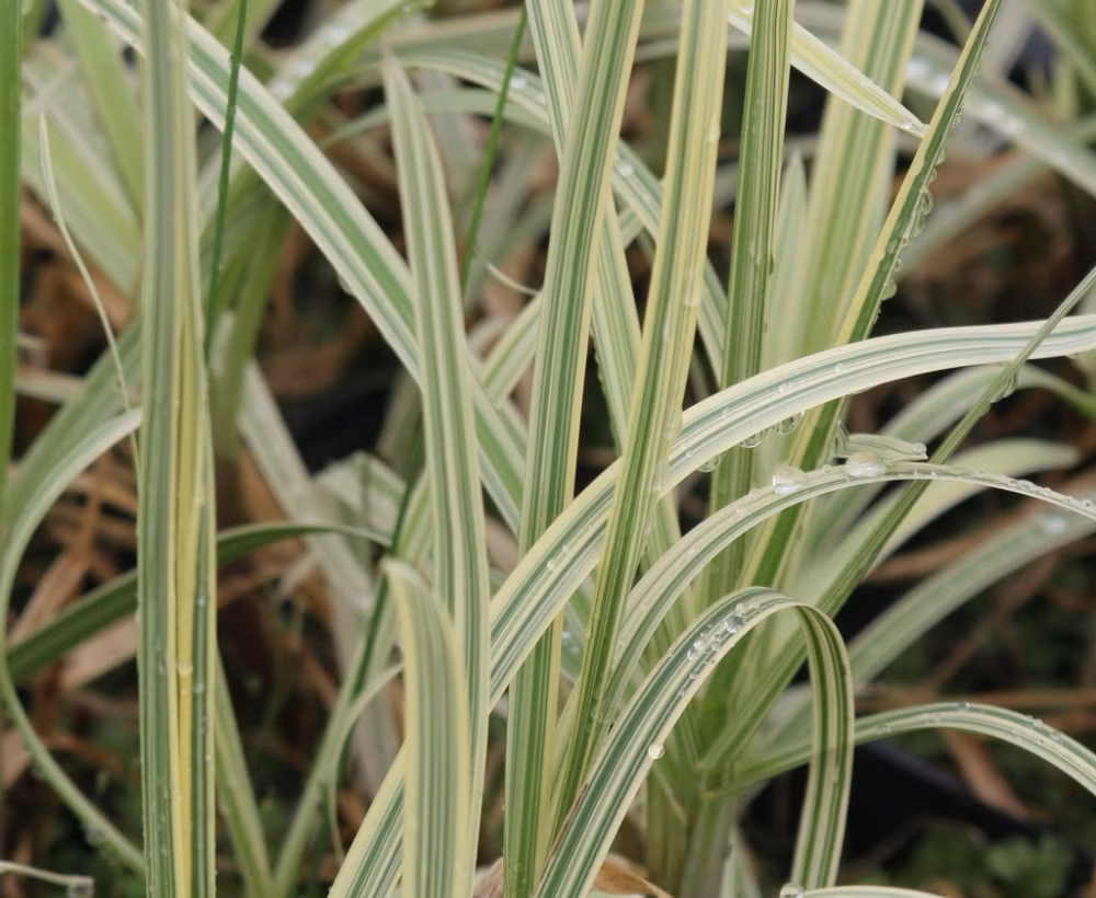 74d1b59b347ba12c6840ee5d746a4abe