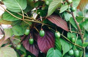 74d591028ccdadd526b68e6d7685f579