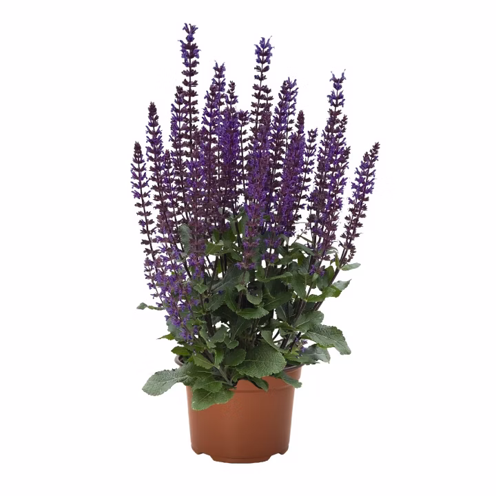 74f4cebb95294b072818973c8ef6e1dd