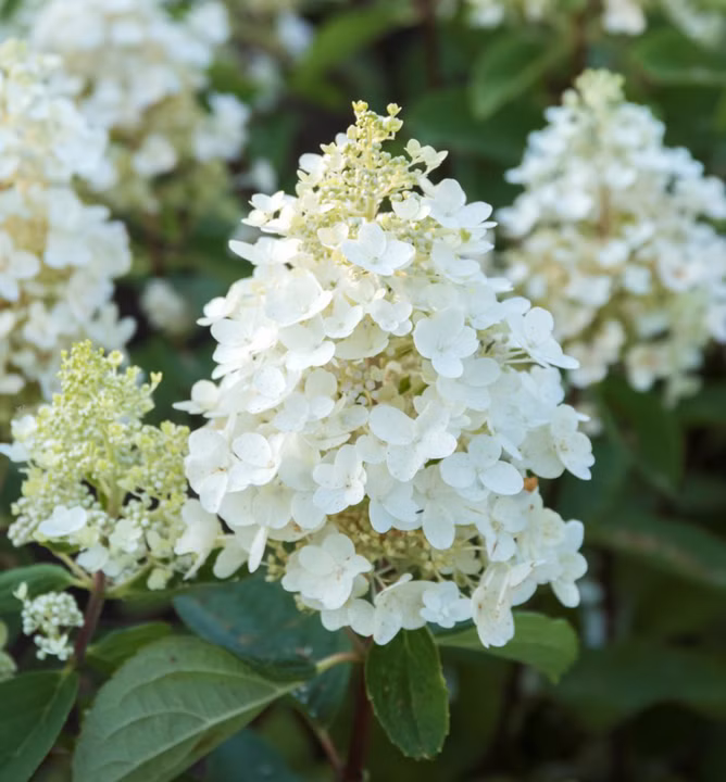 74fd0805af1df904115cf86edfd4ae2f