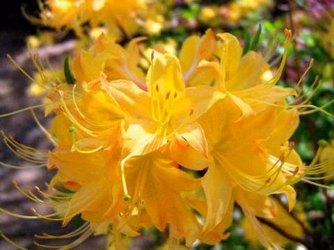 75122c59919a580cfd23a2dd33aa2d56