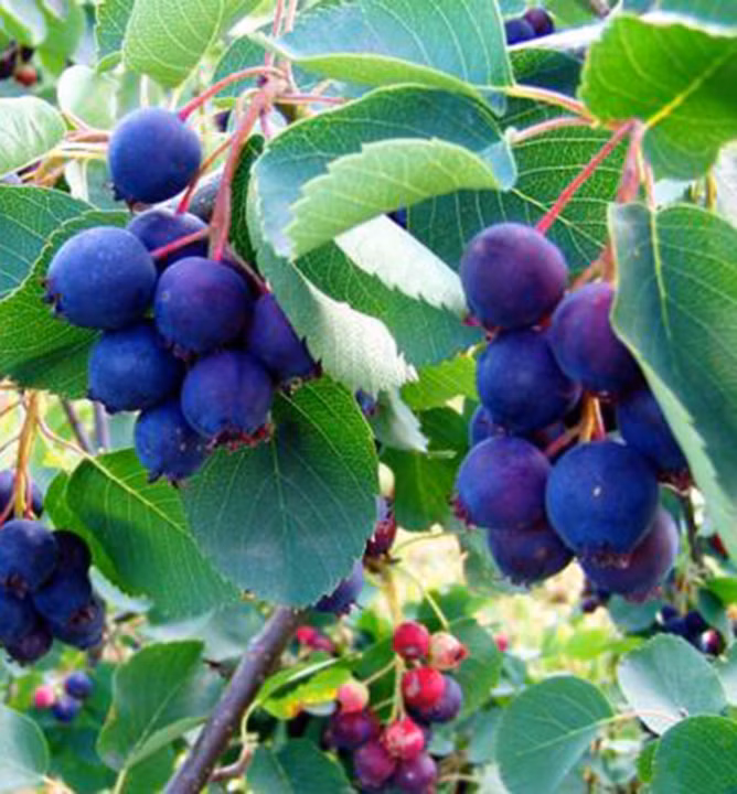 7521a75e46f6be29759fb897e786365b