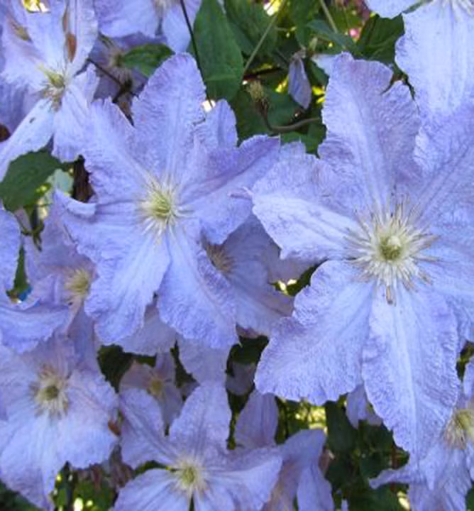 753a27f4b04937529035fec0338960b3