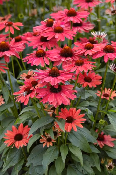 7543fcd6b972645445de3eb540aa7eb2