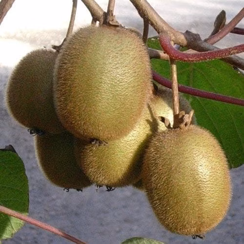 7544c9fbe3ff67e3fc73b67ac1c46705