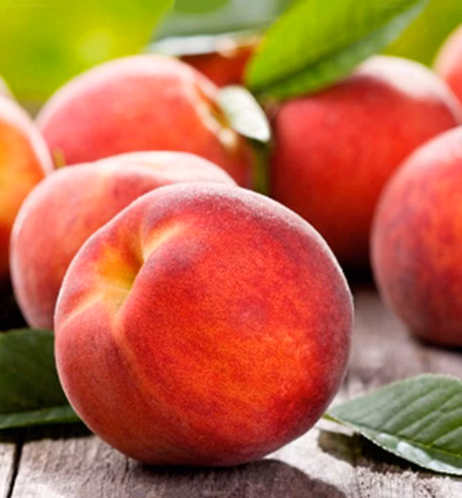 754982addcda552fe498f94a37d419a8