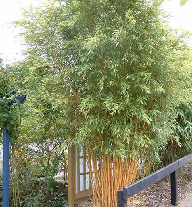 7552b6403953c21970a465de83b8ee40