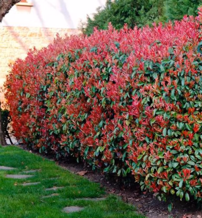 75e67f47ba9add6b63eb6b8892c26093