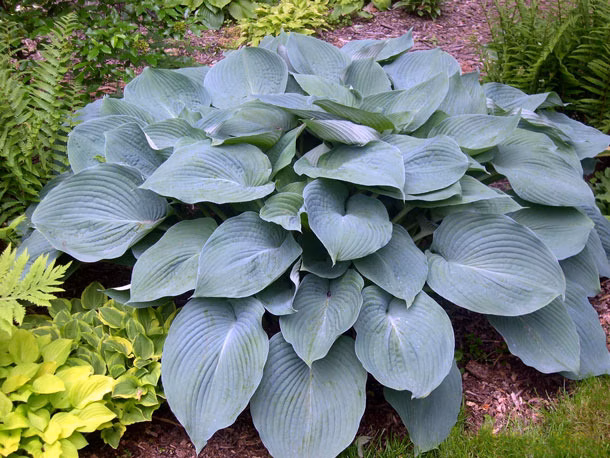 75f2620f9ed36283490d9c5780103623