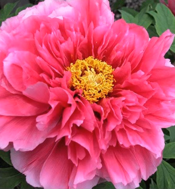 75f41a2740d6b8855a5ea0d7508830dd