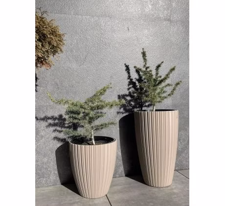 75ffd2578c648ae11643b1654df6cd82