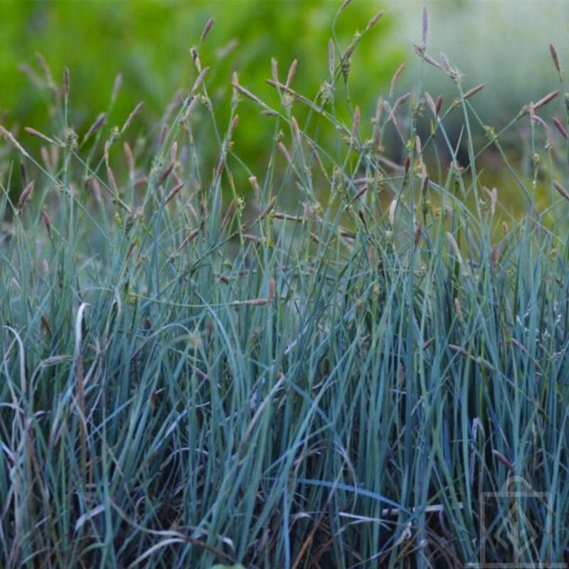 760865e0e451a3c56d504867fd3603a0