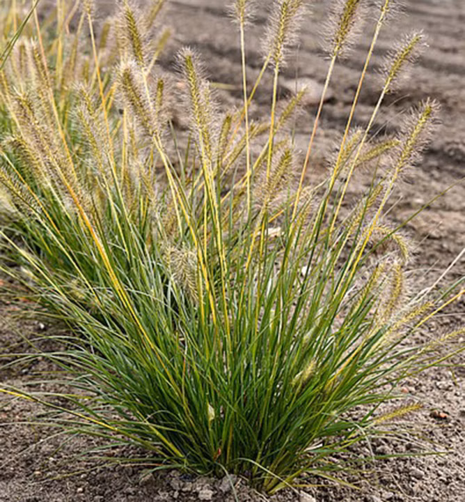 76220dd796490c42c80099cb8af58272