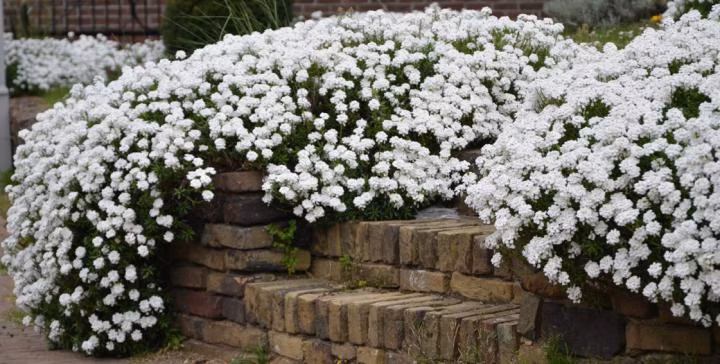 762762228d0332545946f168f14c3a23