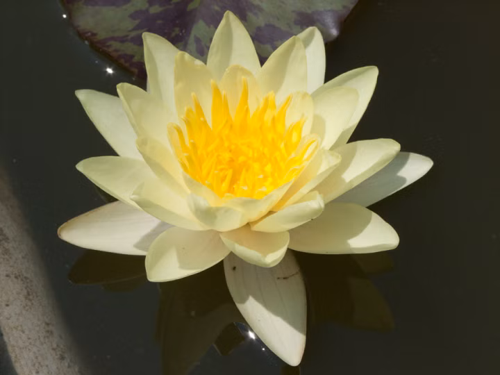 762953b01f54cc227131b4a70a858dd2