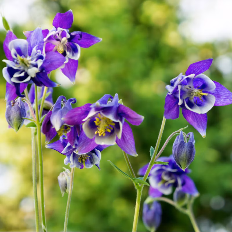 7674a05be10d85894997b9a05c3bde1c