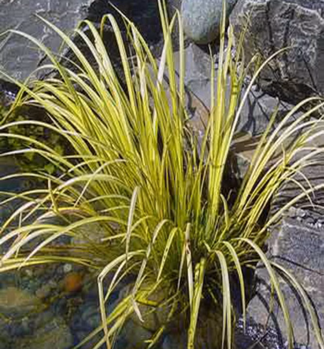 76ad3f98115dd7addbd1661ad304e99f