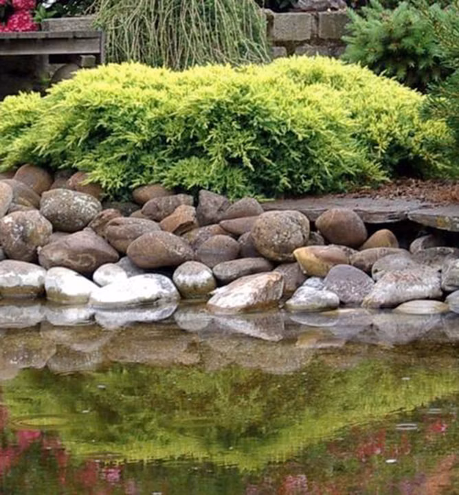 7731c4c680554c8cc99a6b22df94286e