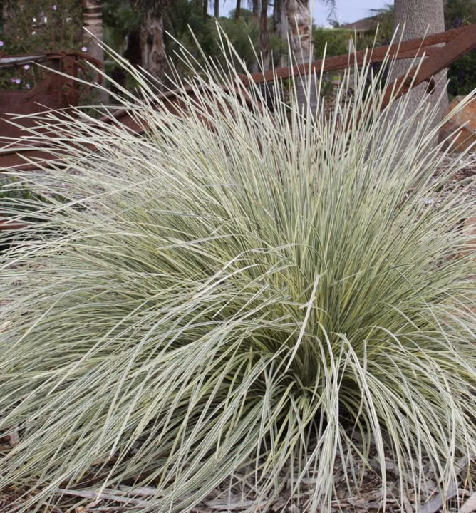 782507cb6202e770a3ca5106742ce367