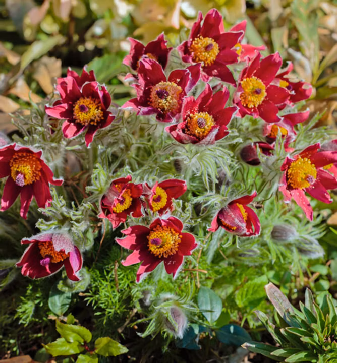 782d9b3920523f911c0a50673ef244c6