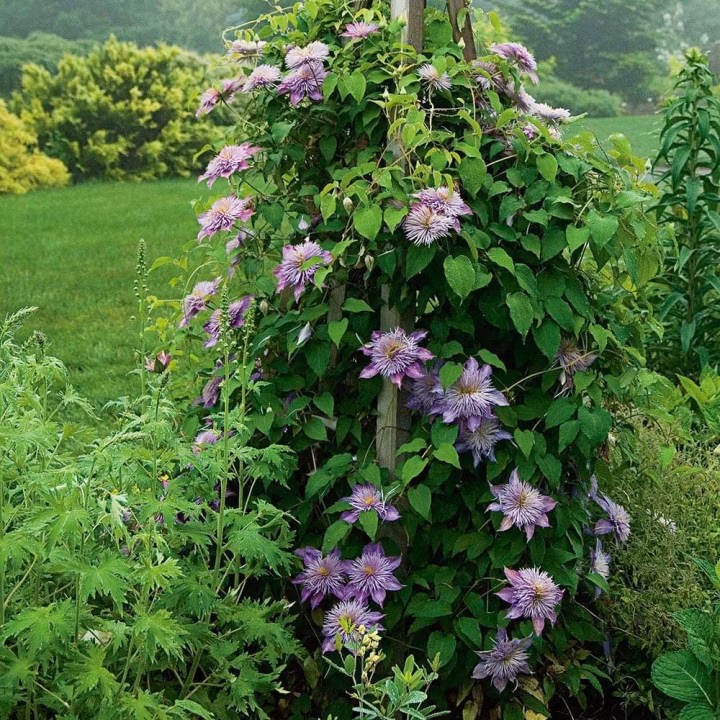 78591c78b87d2748da9ae6bb837e26e6