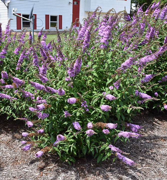 78a87bfd6e855234567417fe0f028db2