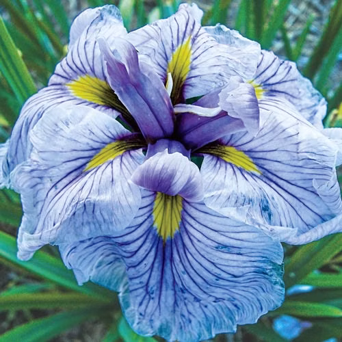 78adb21c82e9614bae13e03203590526