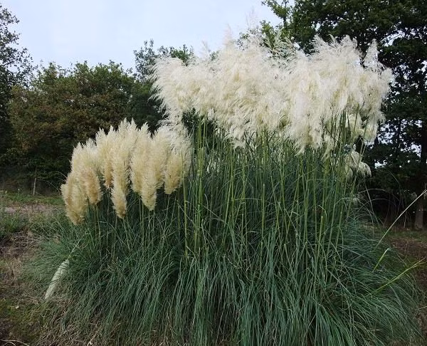 78c57e8242b64ca55e1ef4f9efd3bfb2