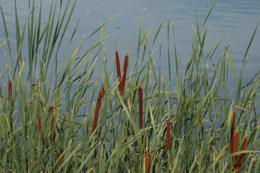 78f1d543c4daa08c587c73030e48832a