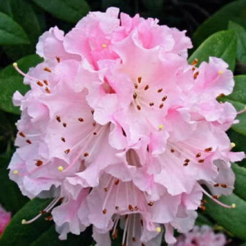 78f6782188bb6082c50172c57d581afb