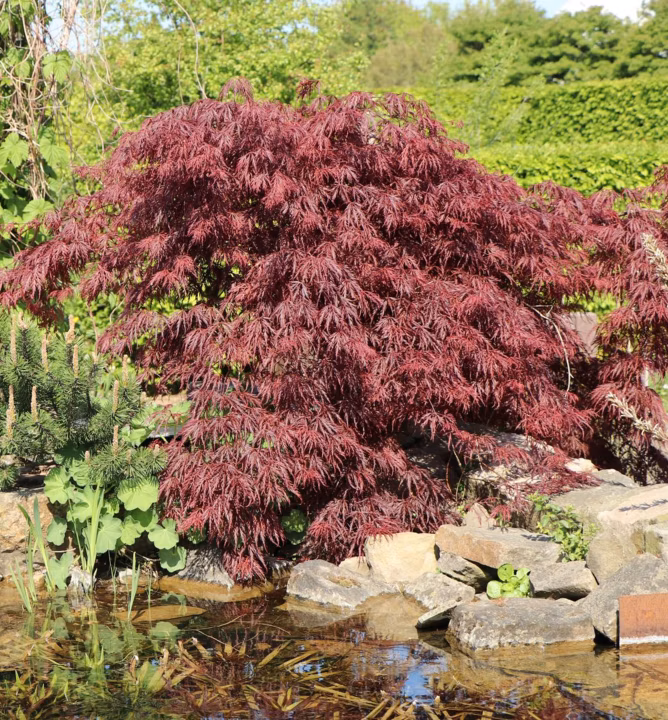 7909244b474d153b377b7131e1acc110