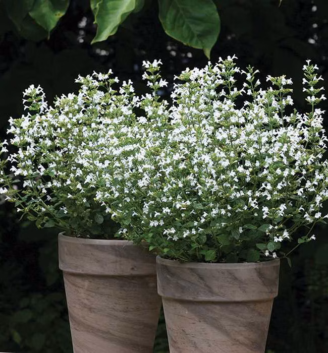 7921d73d02e7073002f3fbdd88c11771