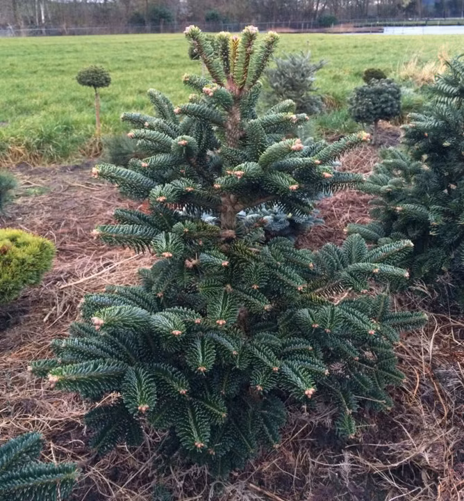 792d19c306f8797de1c6bd3a85fe92da