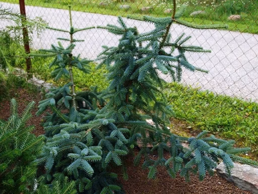 7951ef2329d8dcc3ae9c01b71ad2bee1