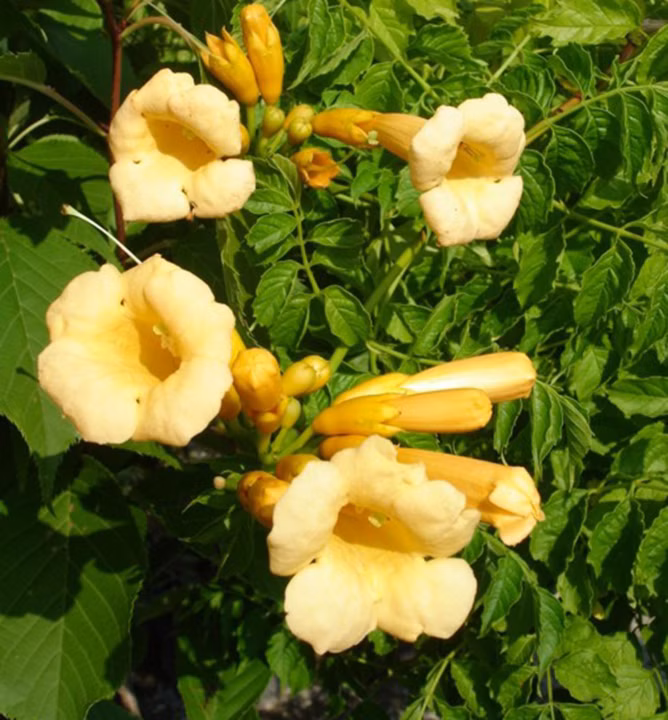 7962634f02cd62802c8add22dd679c05