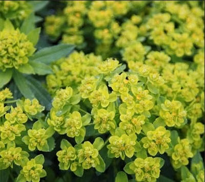 79861c16841f532ececef9db119bb156