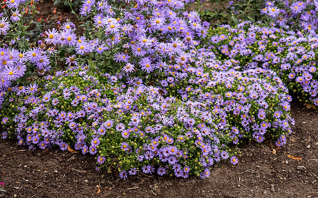 79888b5c4f48f32028e7e5d4e96a3167