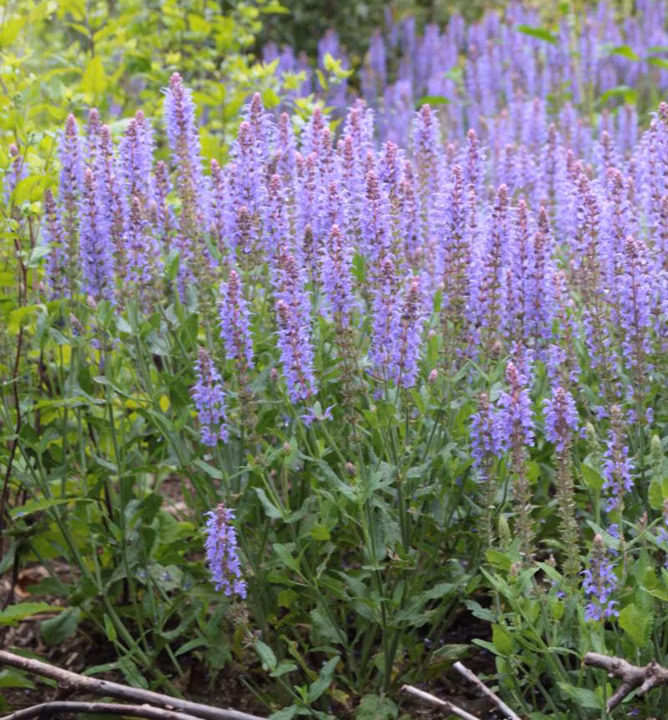 799e09697be5a28e7c63109f27592582