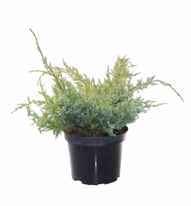 79cc9319e7f8e5042ca5e1d715f54a91